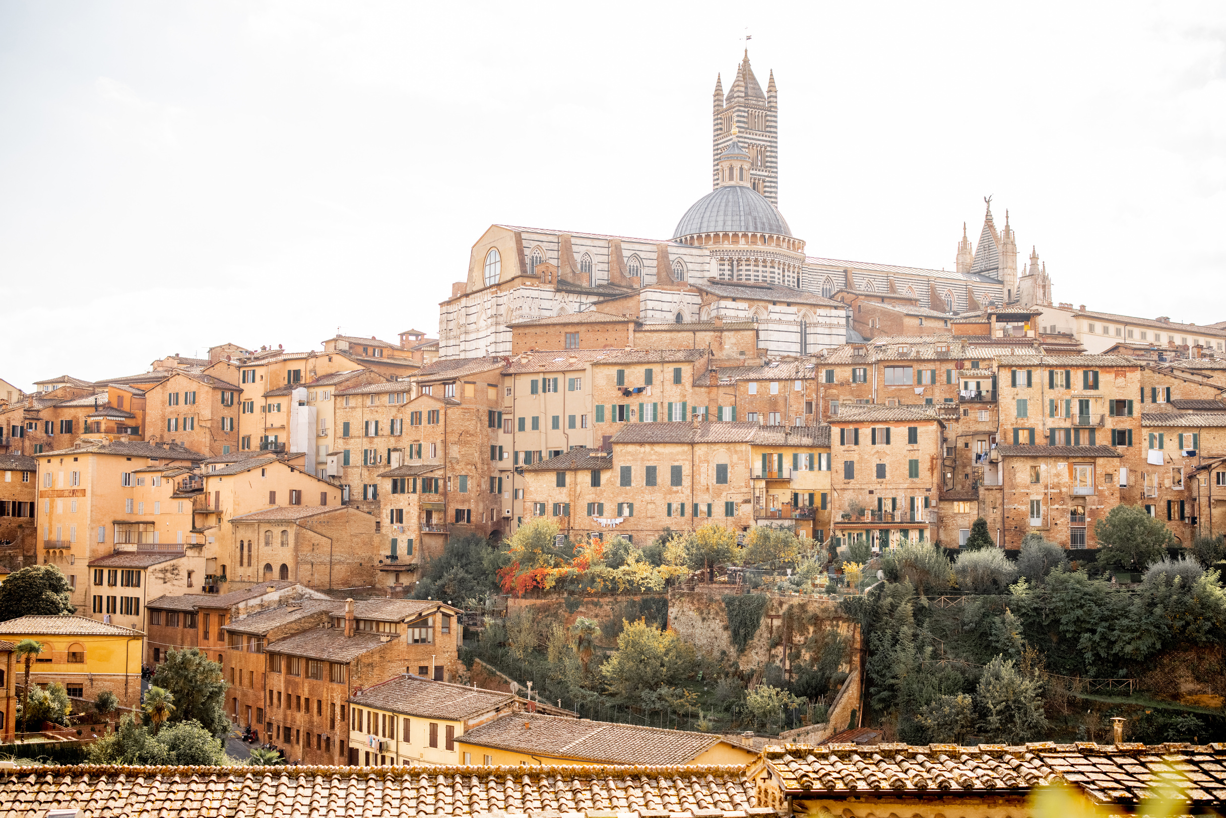 Cityscape of Siena Town in Tuscany Region of Italy